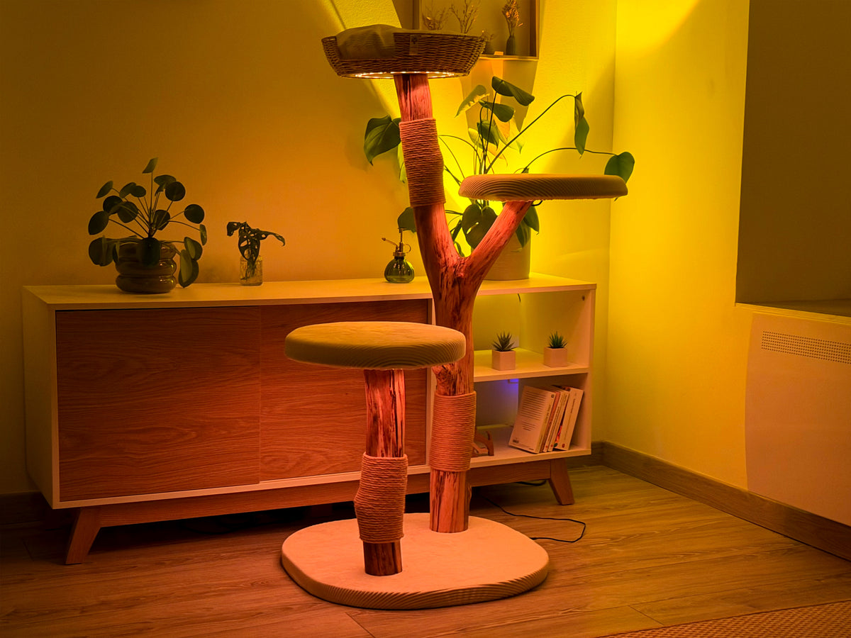 L'arbre 04 le soir, système lumineux allumé, lumière chaude dans le salon