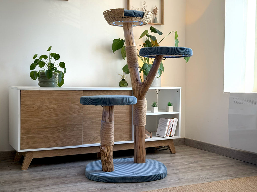 L'arbre 05 en housses bleues dans un salon : plateforme basse, plateforme à mi-hauteur et panier perché en hêtre massif