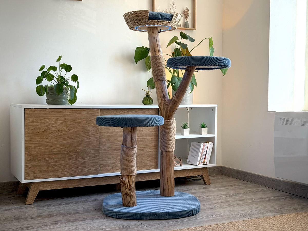 L'arbre 05 en housses bleues dans un salon : plateforme basse, plateforme à mi-hauteur et panier perché en hêtre massif