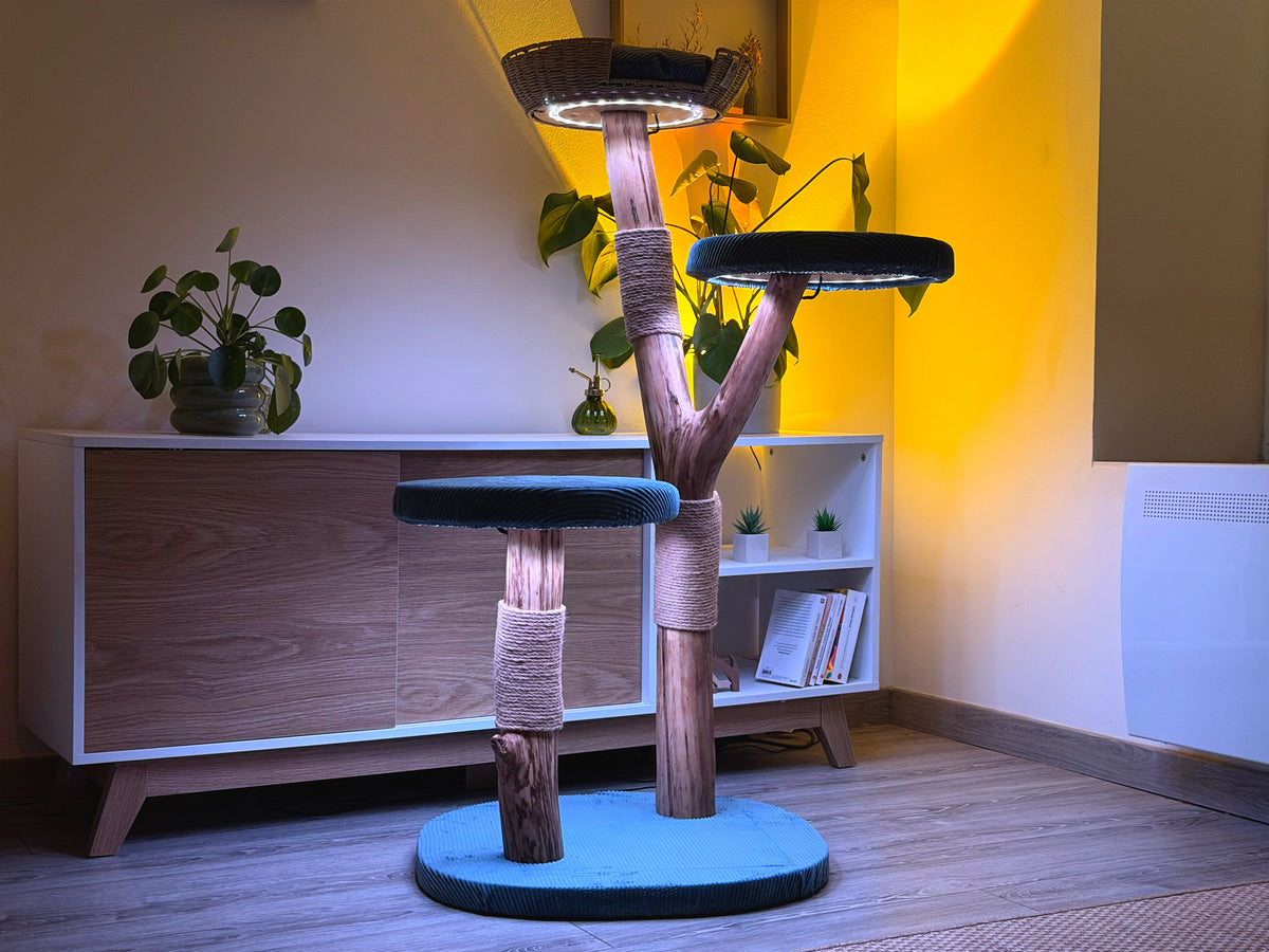 L'arbre 05 le soir, anneaux lumineux allumés dans le salon