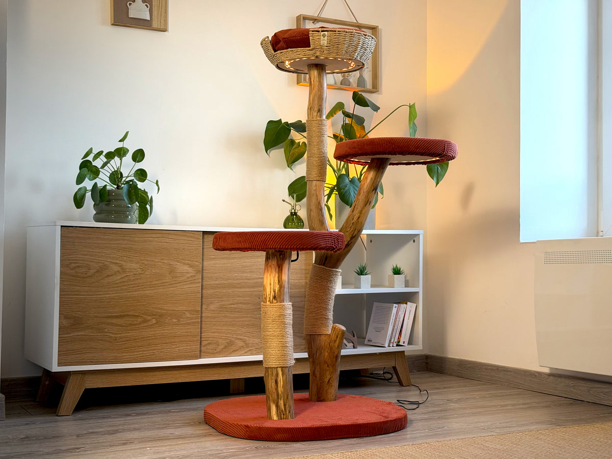 L'arbre 06 en housses terracotta, système lumineux allumé dans un salon