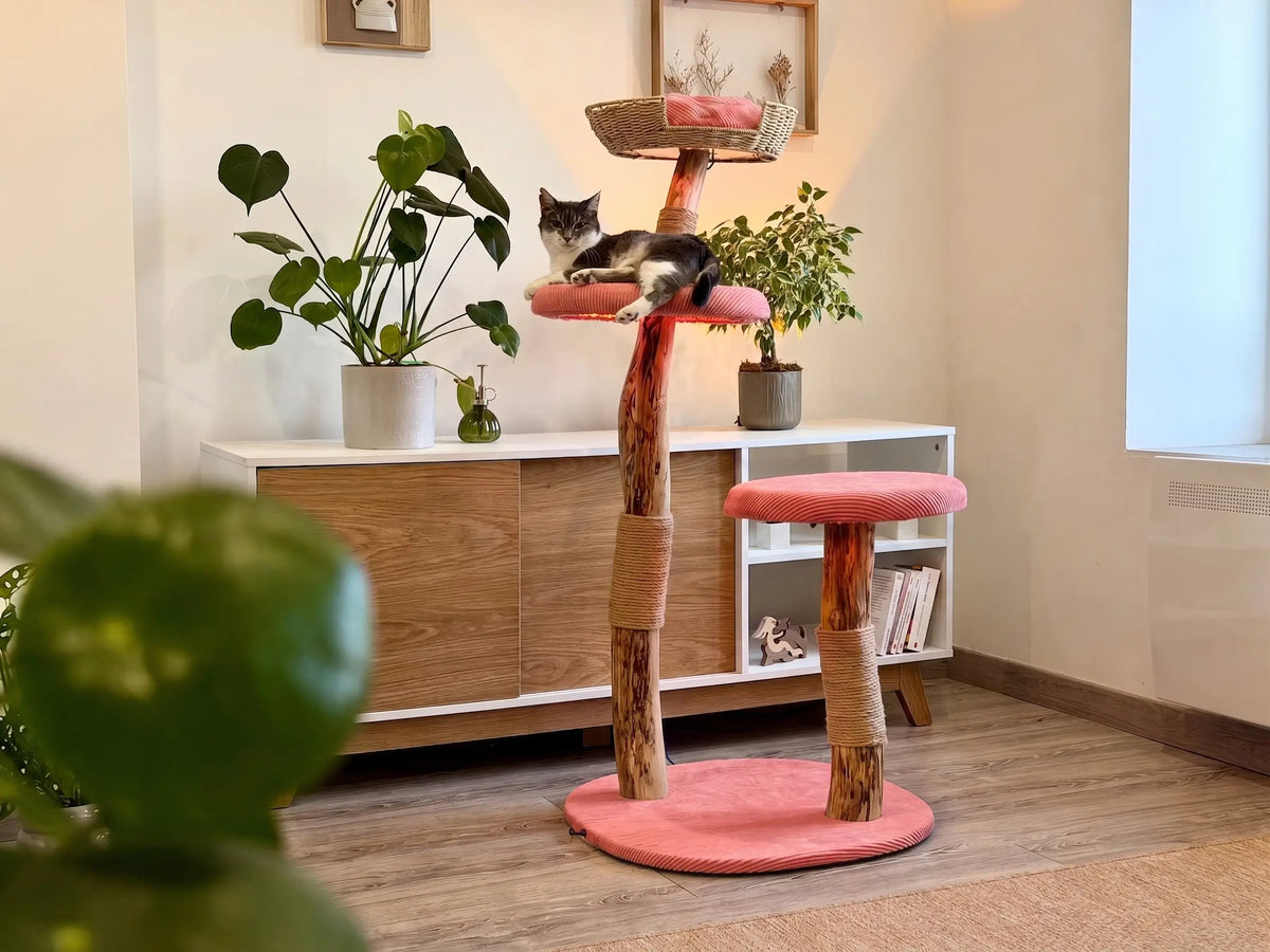 Housse Rose