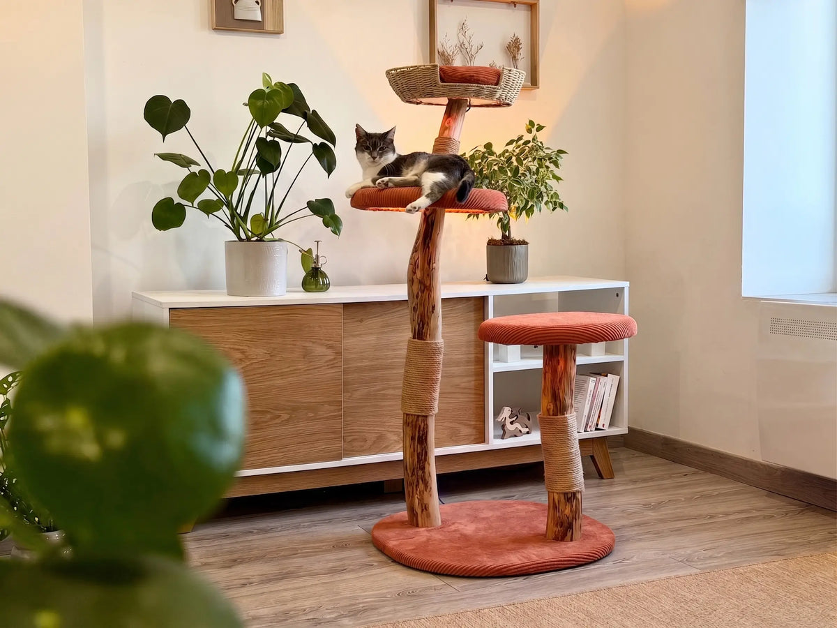 Housse Terracotta