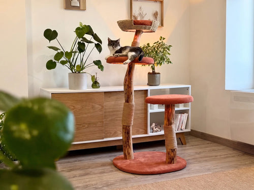 Housse Terracotta