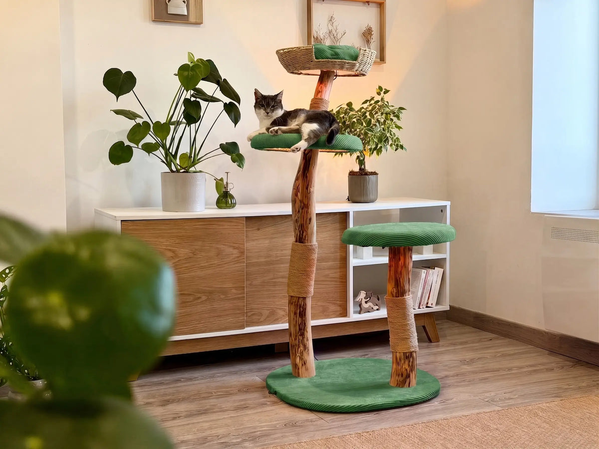 Housse Verte