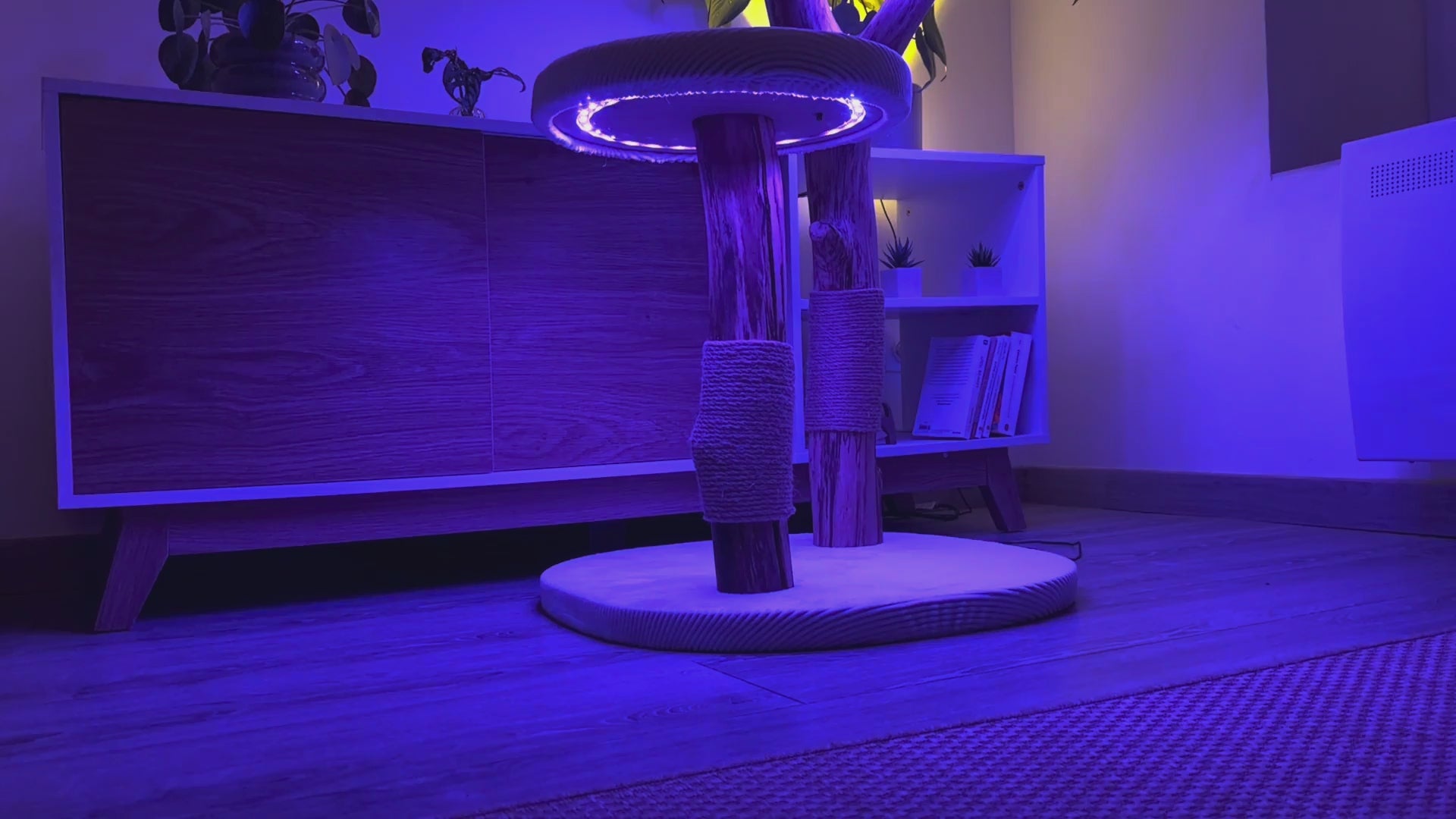 L'arbre 04 en vidéo, système lumineux allumé