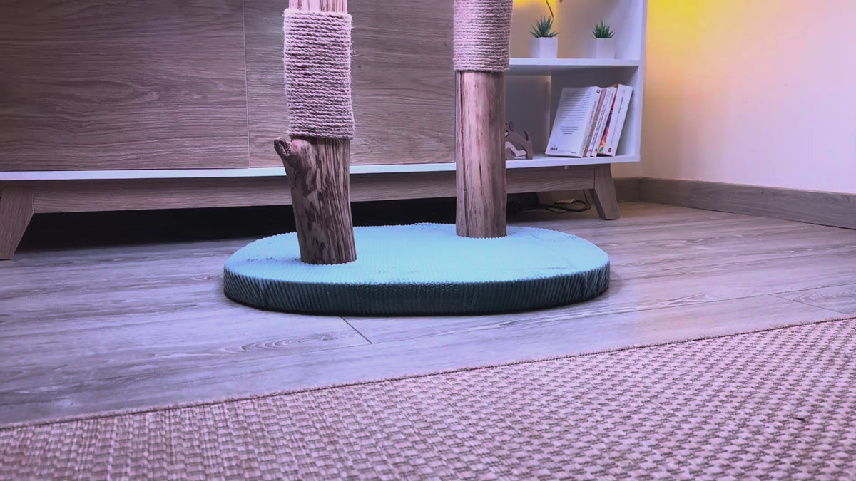 L'arbre 05 en vidéo, système lumineux allumé